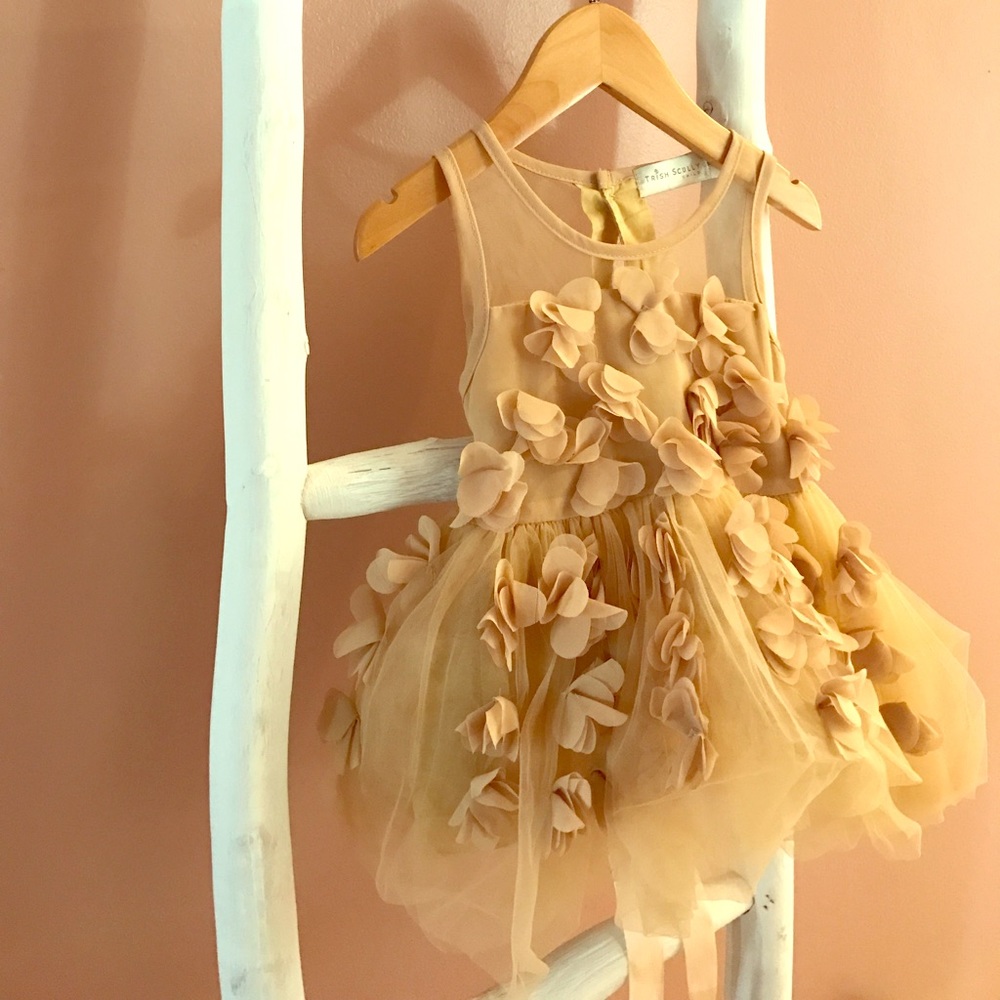 Tulle Floral Appliqué Dress